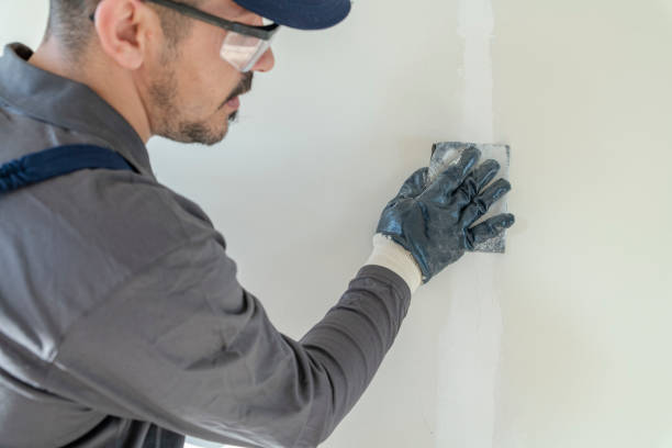 Best Drywall Crack Repair  in Bellview, FL